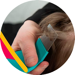 Imagen de Aplicación del Tratamiento